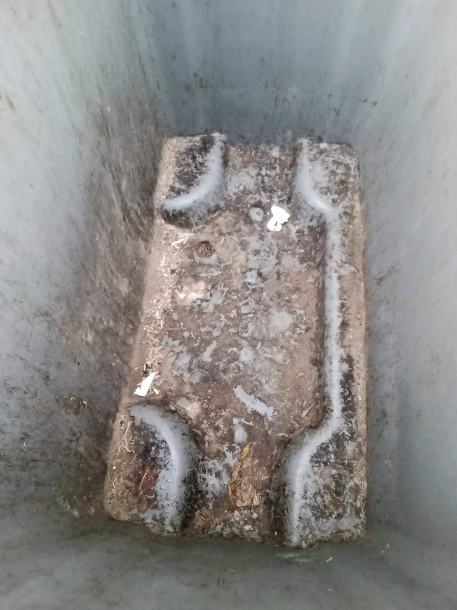 Bac poubelle sale avant lavage — intérieur encrassé